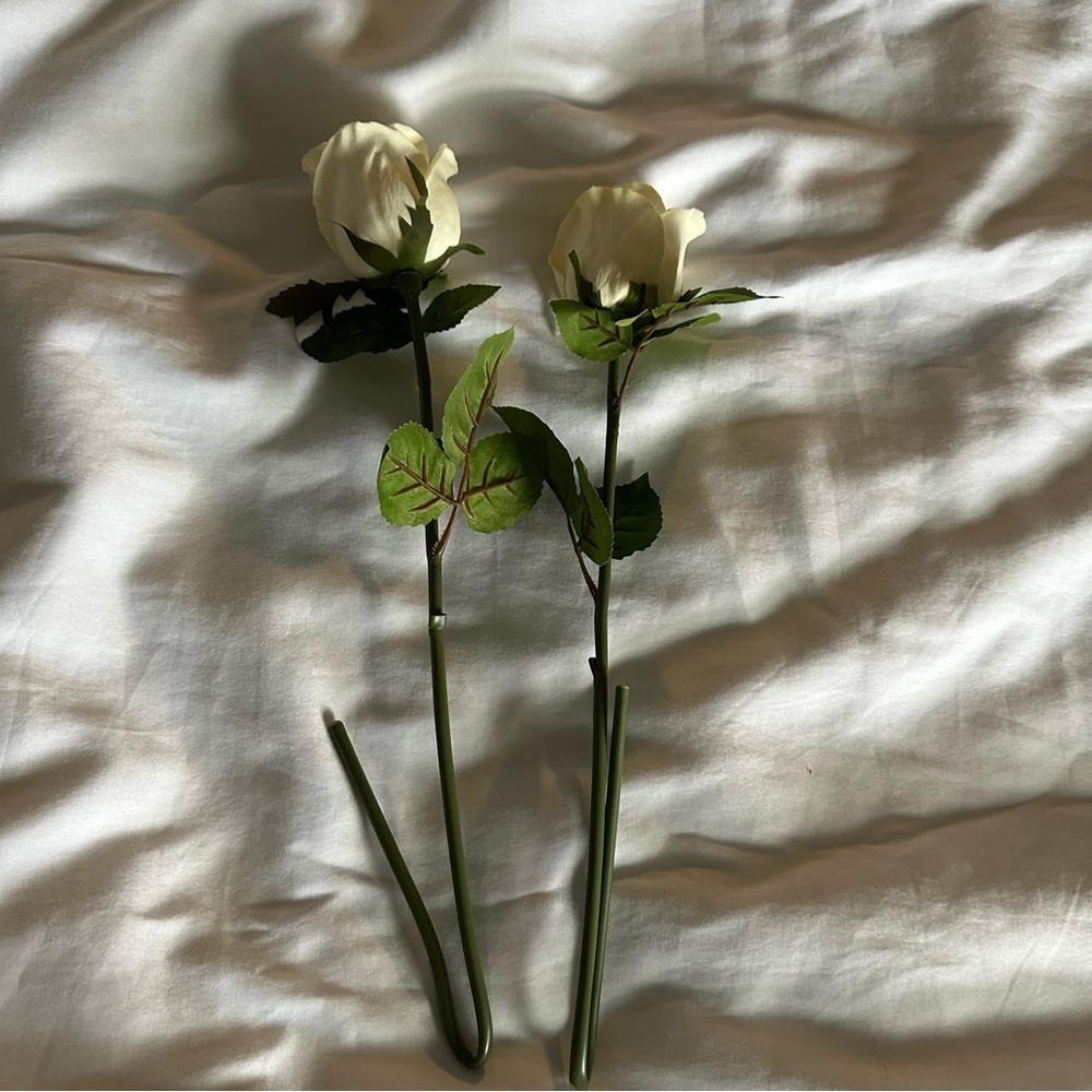 White Decor Roses